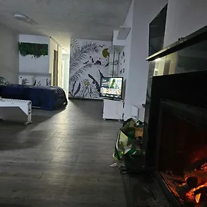 Estudio En Alquiler Apartamento